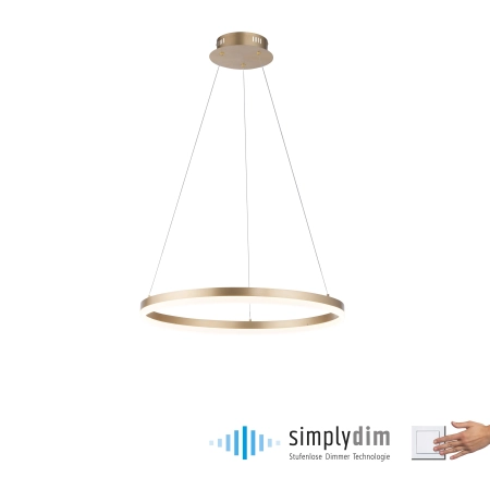 Lampa wisząca TITUS 2382-60 - Paul Neuhaus