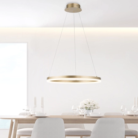 Lampa wisząca TITUS 2382-60 - Paul Neuhaus