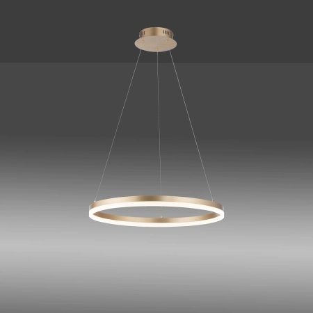 Lampa wisząca TITUS 2382-60 - Paul Neuhaus