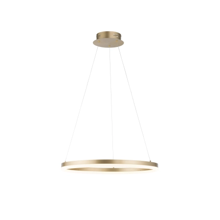 Lampa wisząca TITUS 2382-60 - Paul Neuhaus