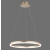 Lampa wisząca TITUS 2382-60 - Paul Neuhaus
