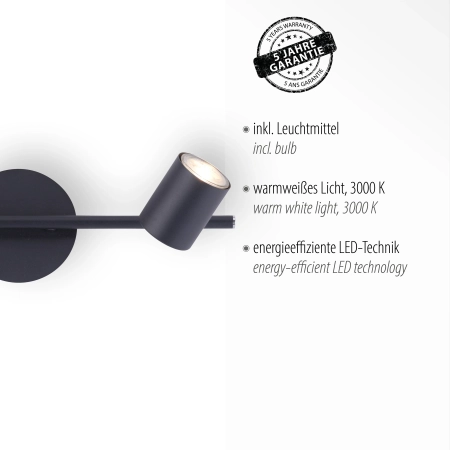 Lampa sufitowa TARIK 11942-13 - Paul Neuhaus