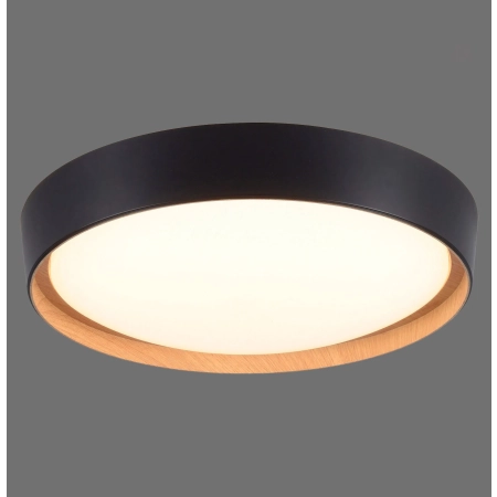 Lampa sufitowa EMILIA 14347-18 - Paul Neuhaus