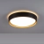 Lampa sufitowa EMILIA 14347-18 - Paul Neuhaus