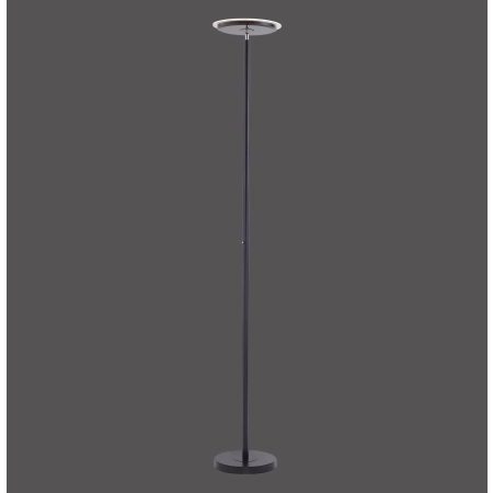 Lampa podłogowa HANS 11729-18 - Paul Neuhaus