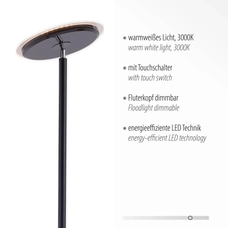 Lampa podłogowa HANS 11729-18 - Paul Neuhaus