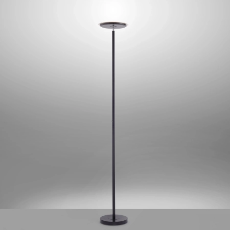 Lampa podłogowa HANS 11729-18 - Paul Neuhaus