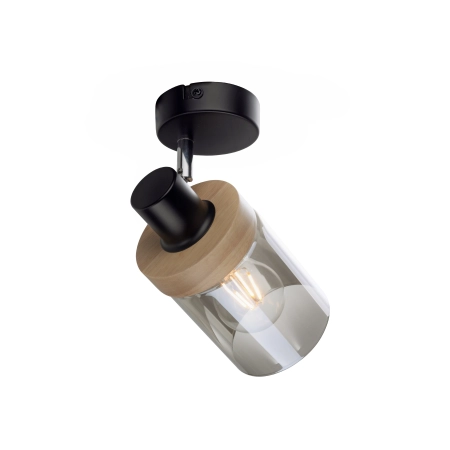 Lampa sufitowa / kinkiet PASQUAL 11311-18 - Paul Neuhaus