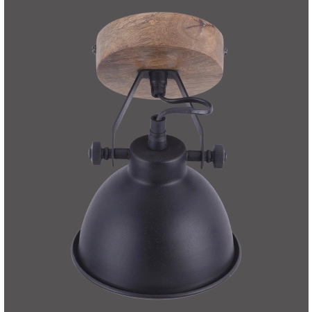 Lampa sufitowa SAMIA 11981-18 - Paul Neuhaus
