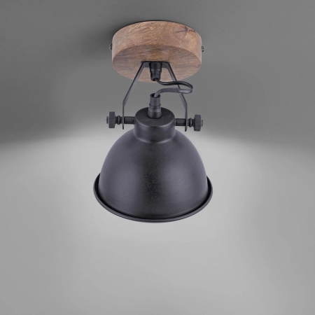 Lampa sufitowa SAMIA 11981-18 - Paul Neuhaus