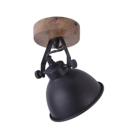 Lampa sufitowa SAMIA 11981-18 - Paul Neuhaus