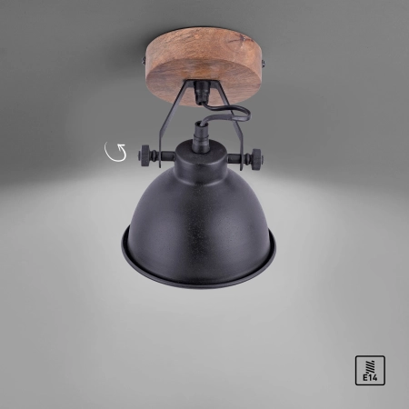 Lampa sufitowa SAMIA 11981-18 - Paul Neuhaus
