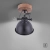 Lampa sufitowa SAMIA 11981-18 - Paul Neuhaus