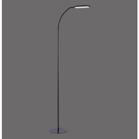 Lampa podłogowa KELLY 14406-18 - Paul Neuhaus