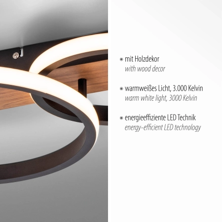 Lampa sufitowa TROOPER 15616-78 - Paul Neuhaus