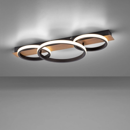 Lampa sufitowa TROOPER 15616-78 - Paul Neuhaus