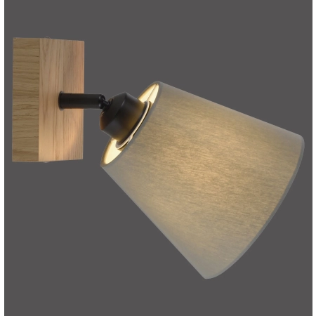 Lampa sufitowa / kinkiet GREEN MICHEL 11581-79 - Paul Neuhaus