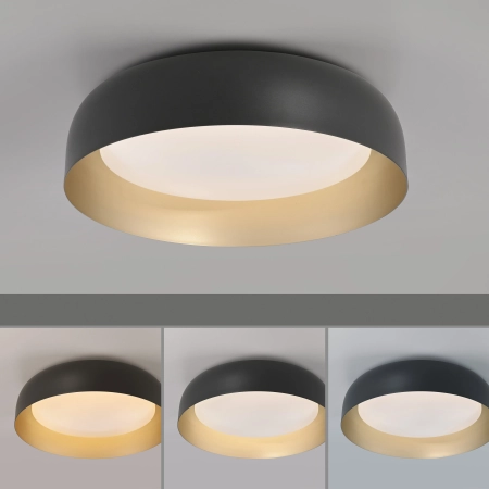 Lampa sufitowa OSKO 14215-18 - Paul Neuhaus