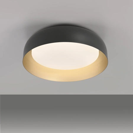 Lampa sufitowa OSKO 14215-18 - Paul Neuhaus