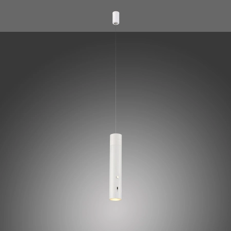 Lampa wisząca ATTACH 18281-16 - Paul Neuhaus