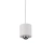 Lampa wisząca ATTACH 18281-16 - Paul Neuhaus