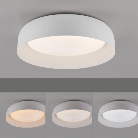 Lampa sufitowa OSKO 14215-16 - Paul Neuhaus