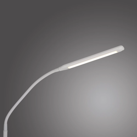 Lampa podłogowa ELLY 11031-16 - Paul Neuhaus