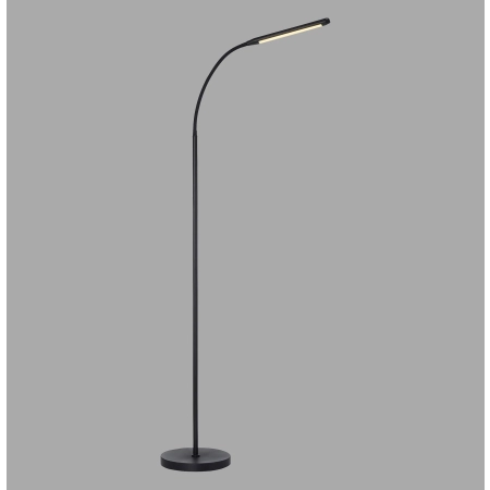 Lampa podłogowa ELLY 11031-18 - Paul Neuhaus