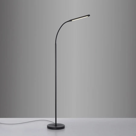 Lampa podłogowa ELLY 11031-18 - Paul Neuhaus