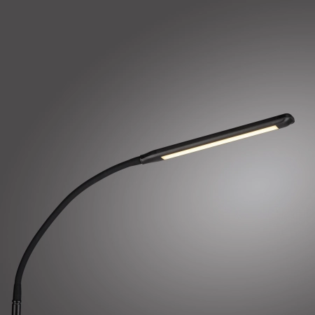 Lampa podłogowa ELLY 11031-18 - Paul Neuhaus