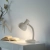 Lampa stołowa FLEXI 11080-16 - Paul Neuhaus