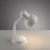 Lampa stołowa FLEXI 11080-16 - Paul Neuhaus