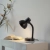 Lampa stołowa FLEXI 11080-18 - Paul Neuhaus