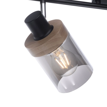 Lampa sufitowa / kinkiet PASQUAL 11312-18 - Paul Neuhaus