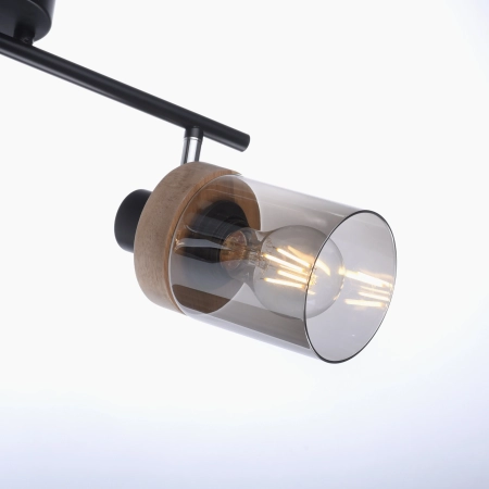 Lampa sufitowa / kinkiet PASQUAL 11312-18 - Paul Neuhaus