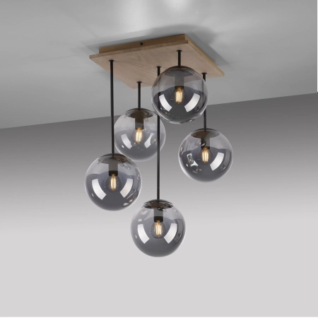 Lampa sufitowa GREEN WIDOW 11395-79 - Paul Neuhaus