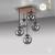 Lampa sufitowa GREEN WIDOW 11395-79 - Paul Neuhaus