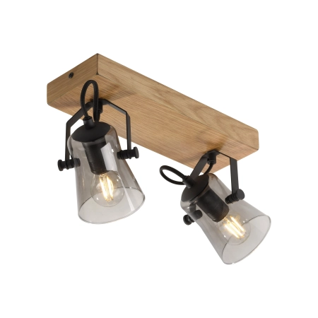 Lampa sufitowa GREEN LANGSTRÖM 11448-79 - Paul Neuhaus