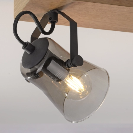Lampa sufitowa GREEN LANGSTRÖM 11448-79 - Paul Neuhaus