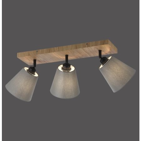 Lampa sufitowa GREEN MICHEL 11582-79 - Paul Neuhaus