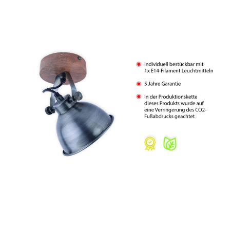 Lampa sufitowa SAMIA 11981-77 - Paul Neuhaus