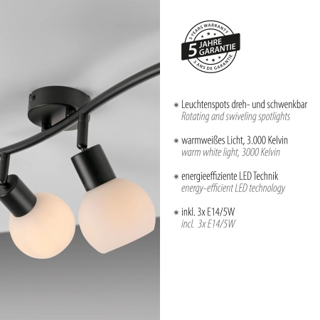 Lampa sufitowa LOKI 12152-18 - Paul Neuhaus