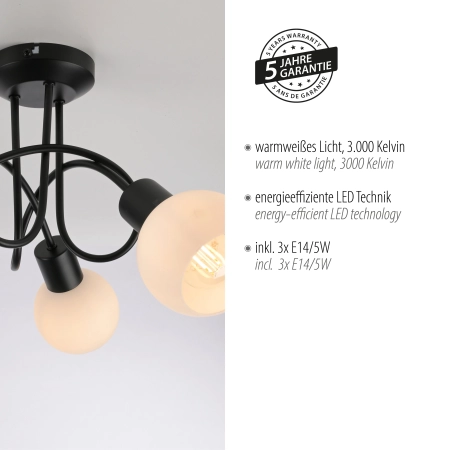 Lampa sufitowa LOKI 12153-18 - Paul Neuhaus