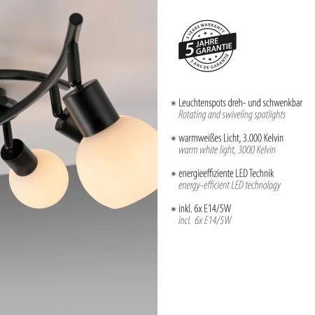 Lampa sufitowa LOKI 12155-18 - Paul Neuhaus