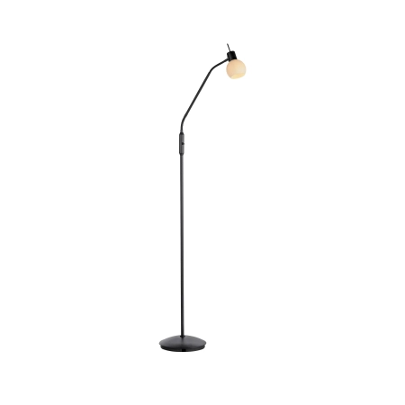 Lampa podłogowa LOKI 12157-18 - Paul Neuhaus