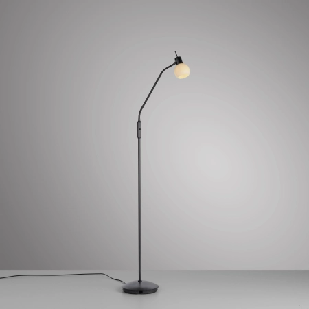 Lampa podłogowa LOKI 12157-18 - Paul Neuhaus