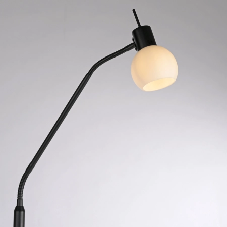 Lampa podłogowa LOKI 12157-18 - Paul Neuhaus