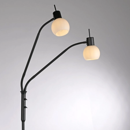 Lampa podłogowa LOKI 12158-18 - Paul Neuhaus