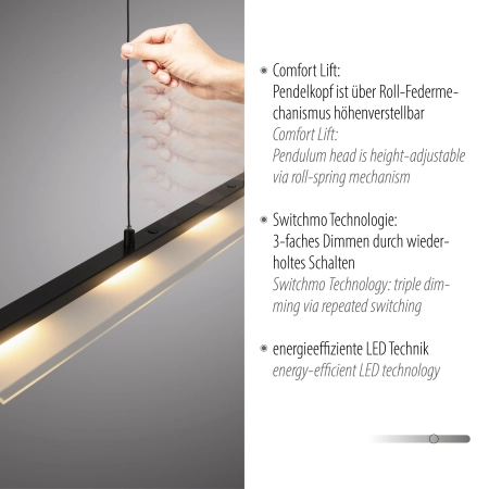 Lampa wisząca NELE 12288-18 - Paul Neuhaus