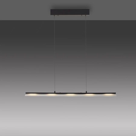 Lampa wisząca NELE 12288-18 - Paul Neuhaus